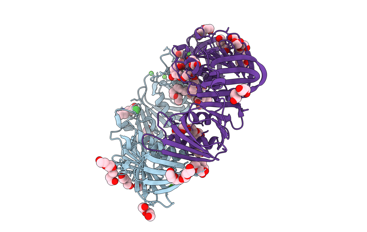 4N99 image