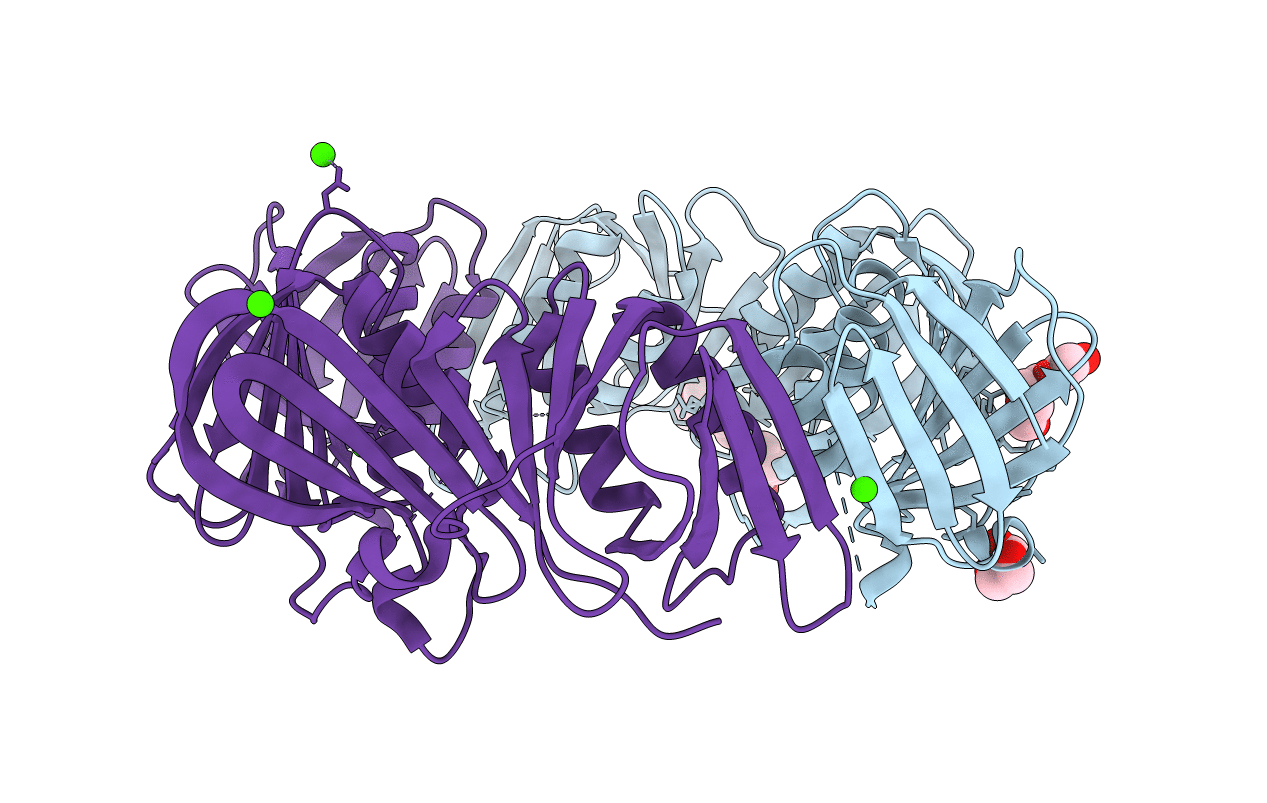 4N9A image
