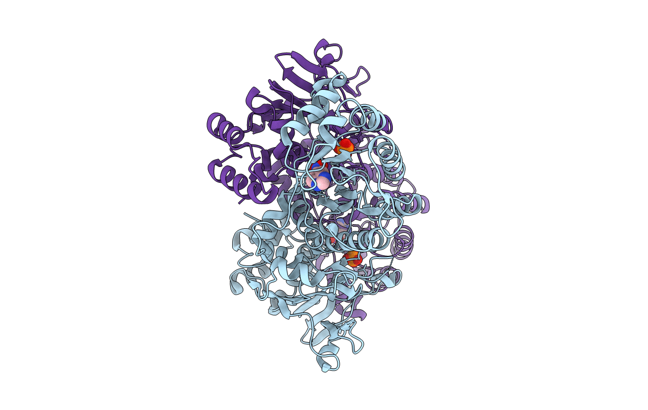 4N9C image