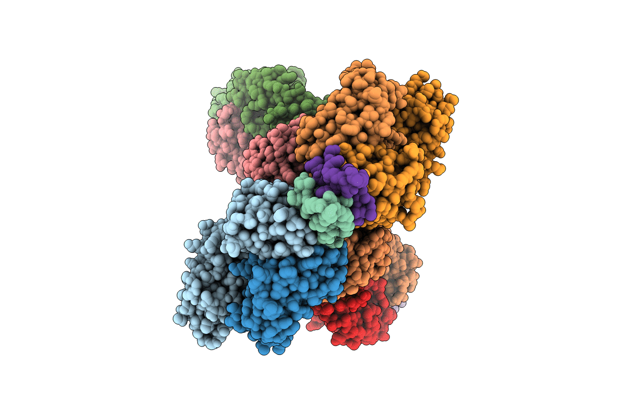 4N9G image