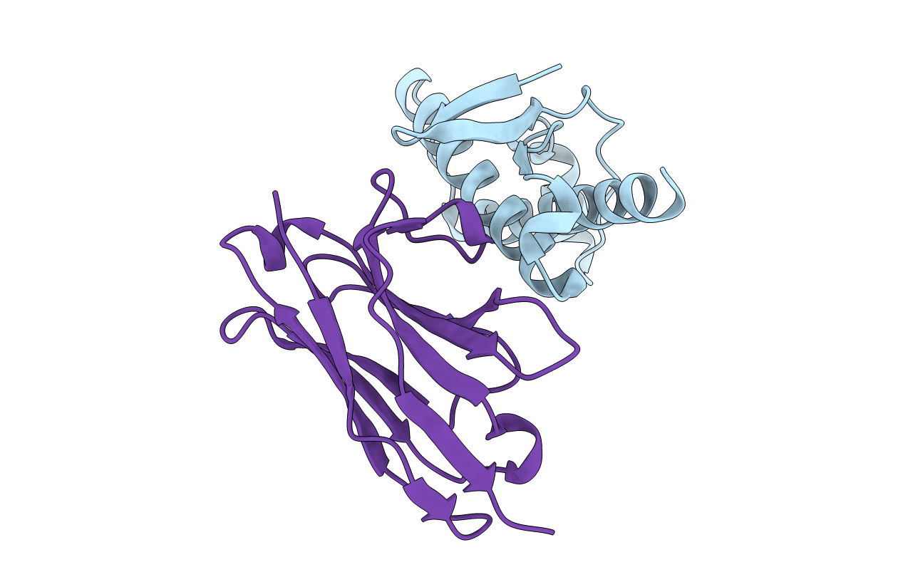4N9O image