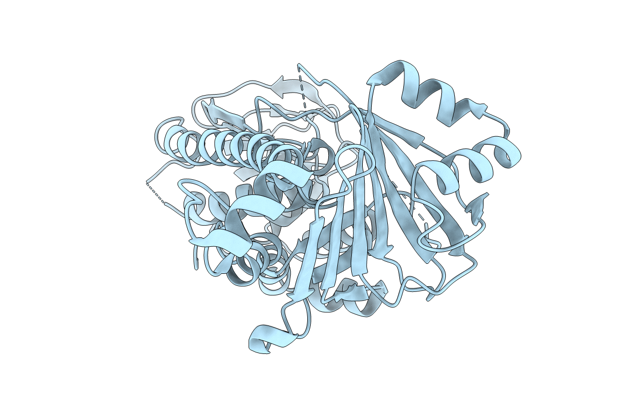 4N9X image