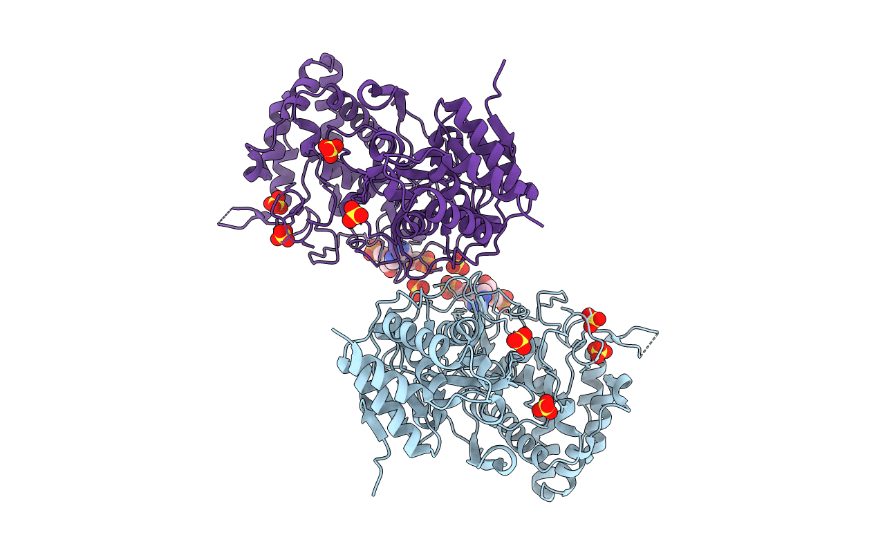 4N9Z image