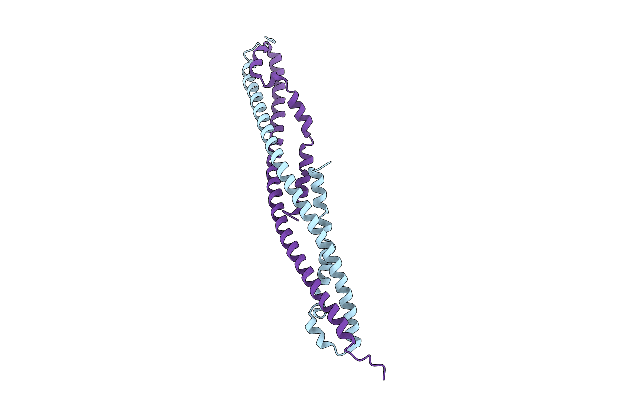 4NAD image