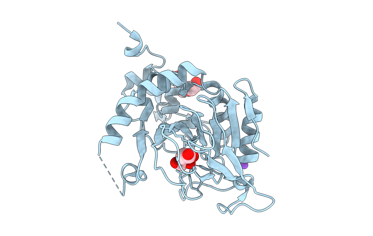 4NAO image
