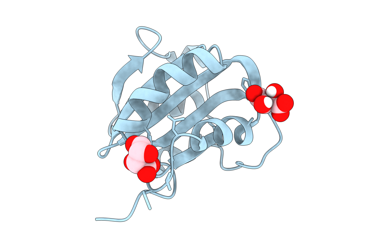 4NBP image
