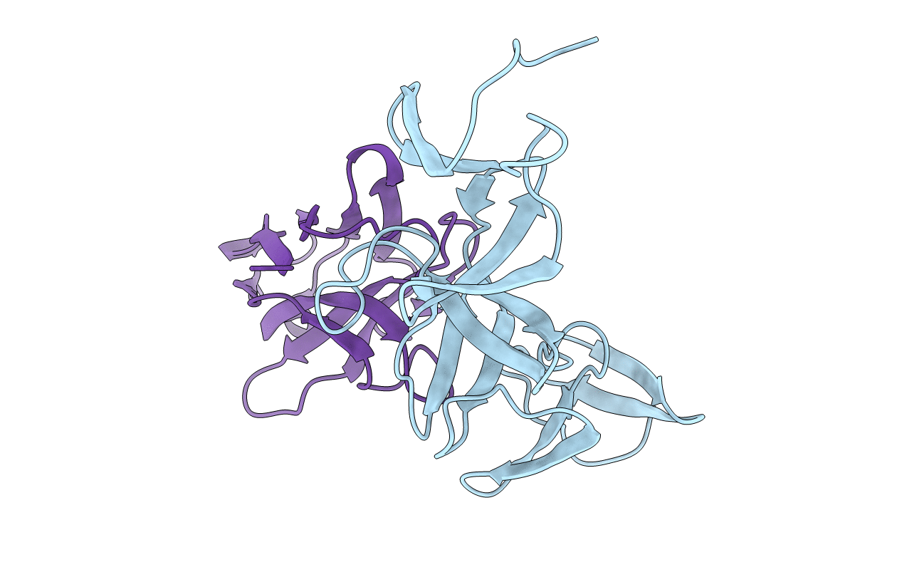 4NBX image