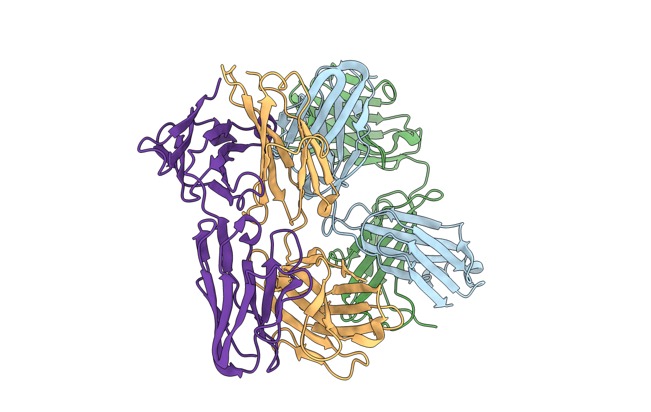4NCC image