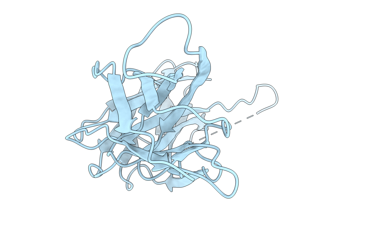 4NCD image