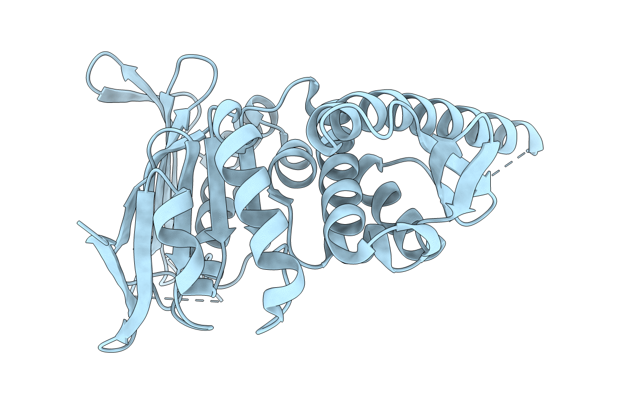 4NCI image