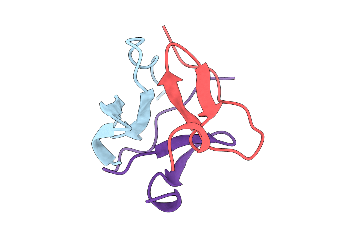 4NCV image
