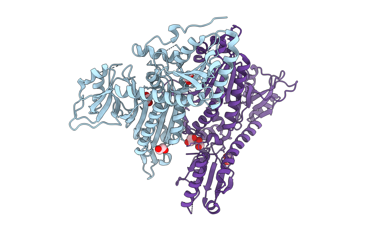 4NCX image