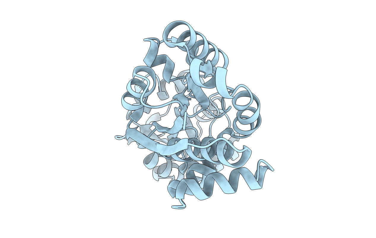 4ND9 image