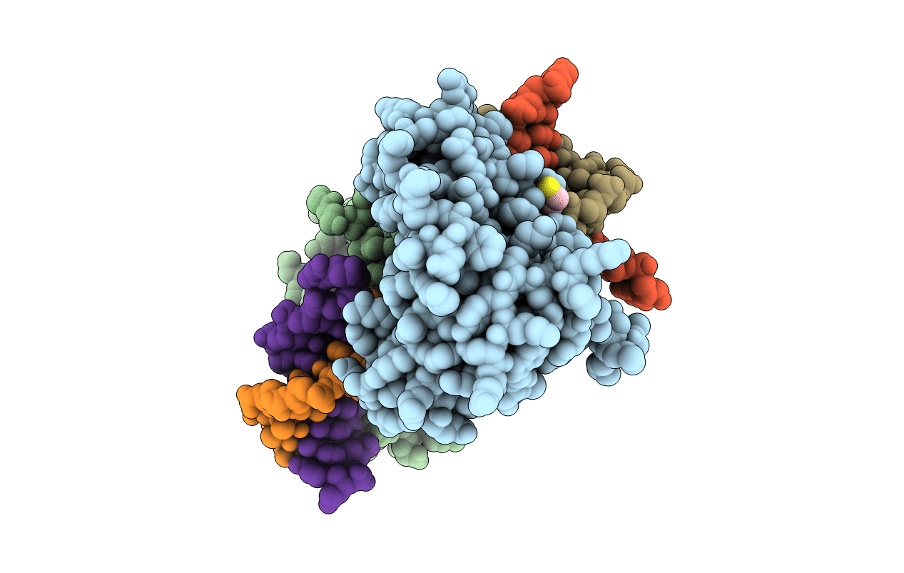 4NDI image