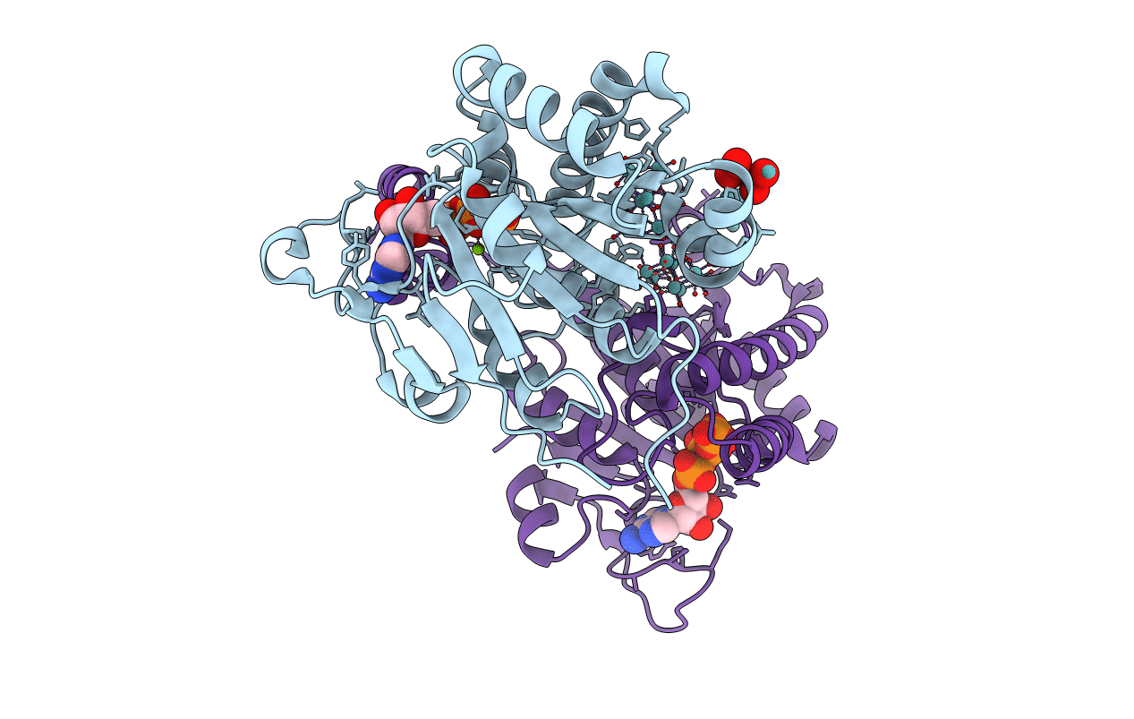 4NDQ image