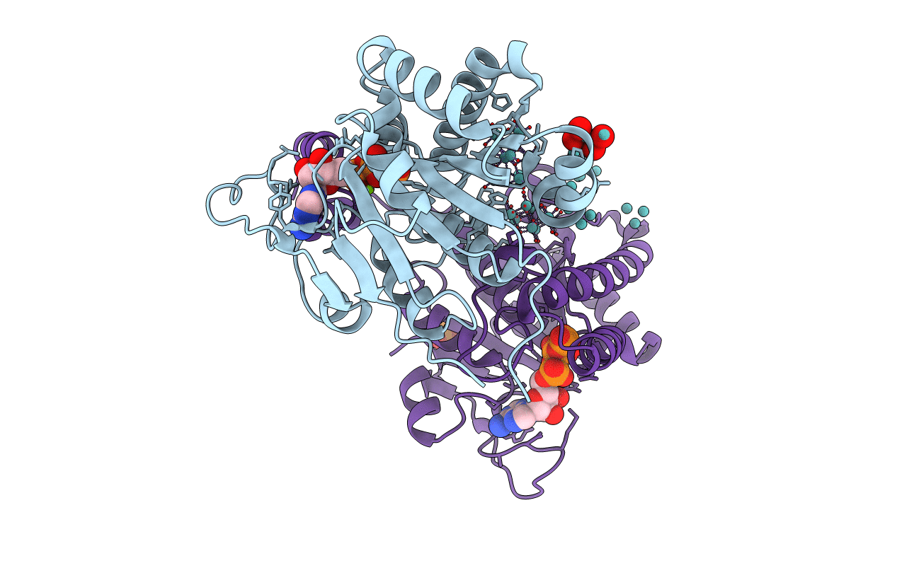 4NDR image