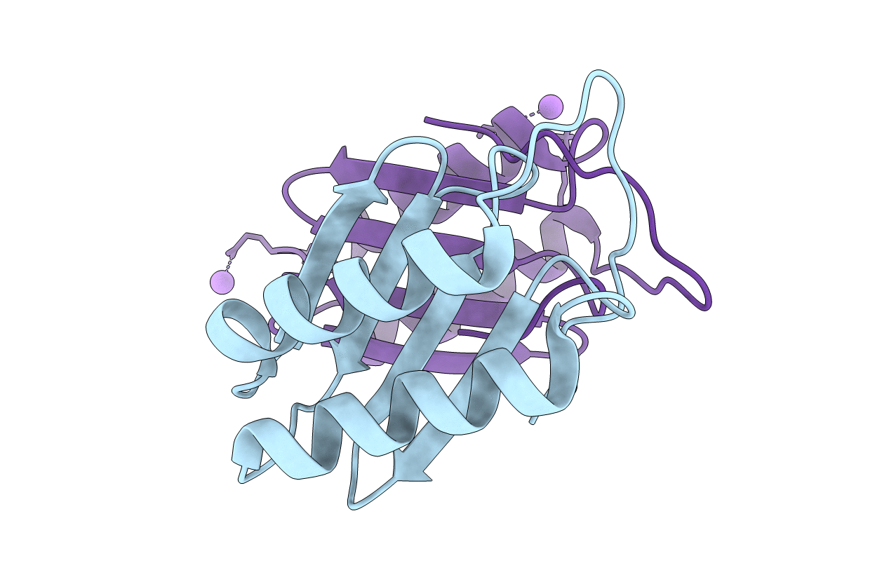 4NDS image