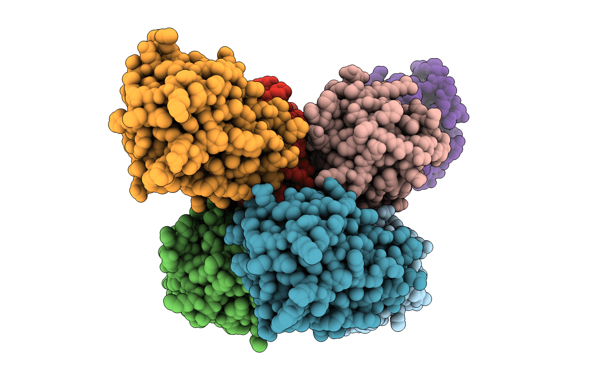 4NF1 image