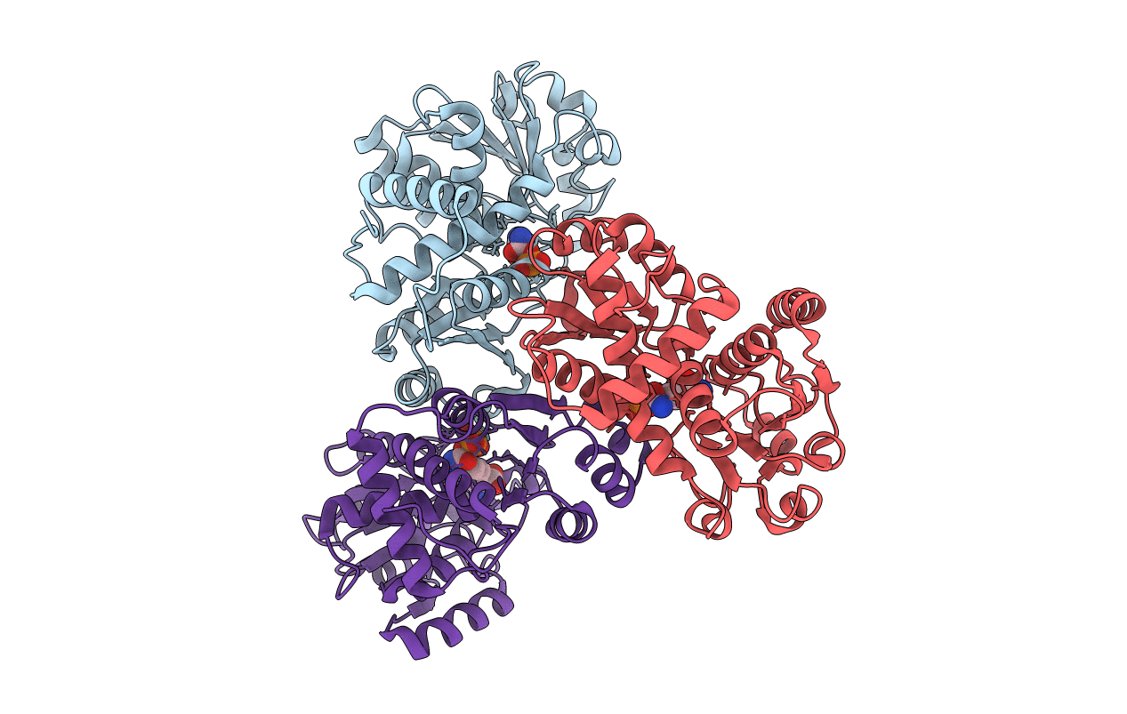 4NF2 image