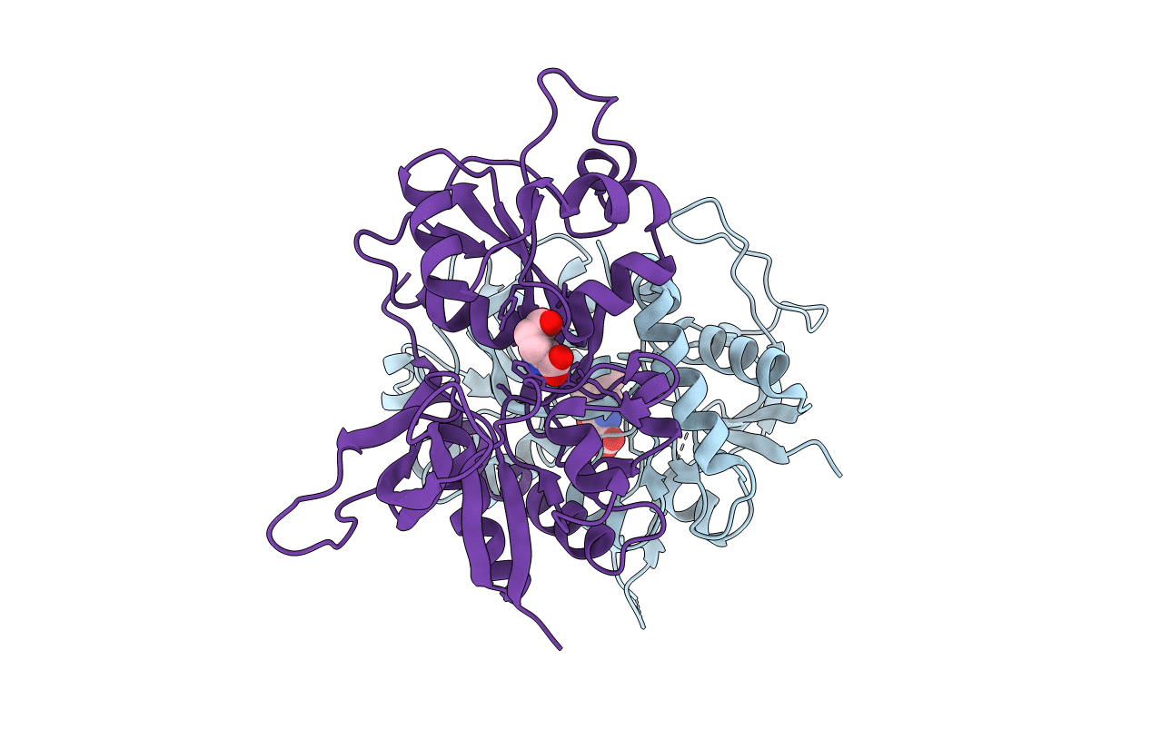 4NF4 image