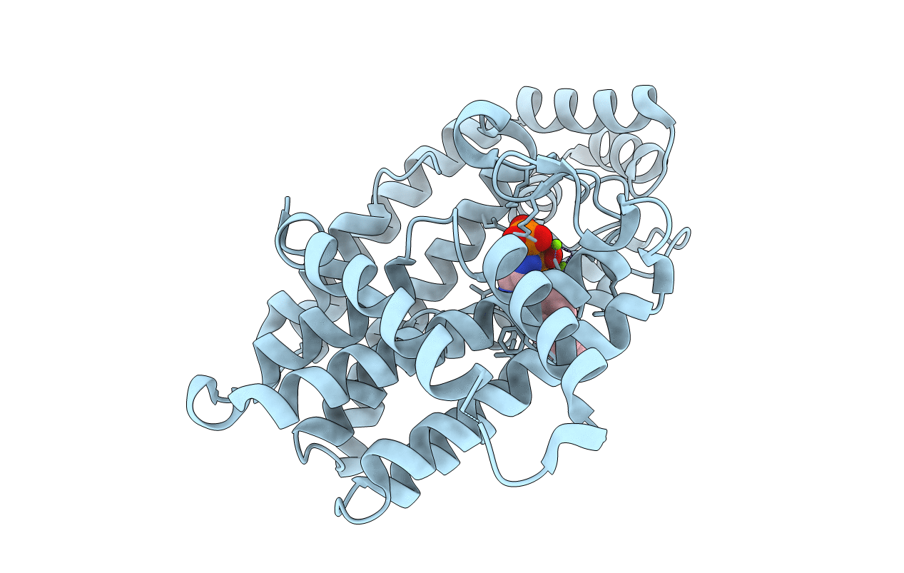4NFI image