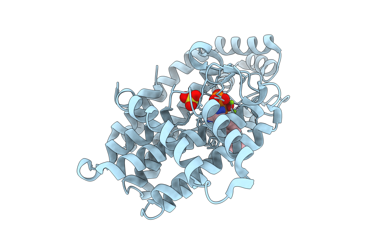 4NFJ image