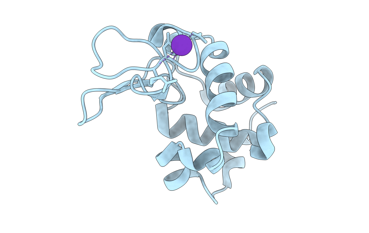 4NGI image