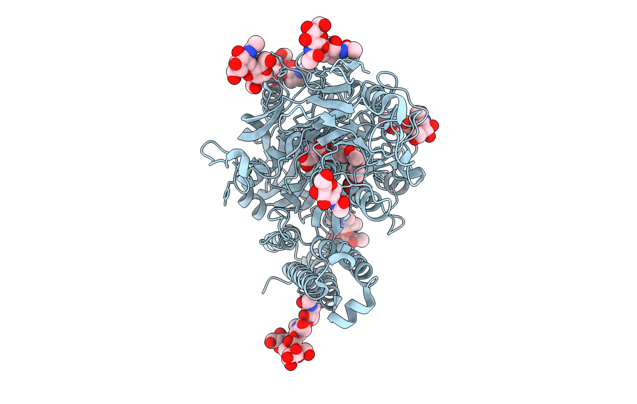 4NGM image