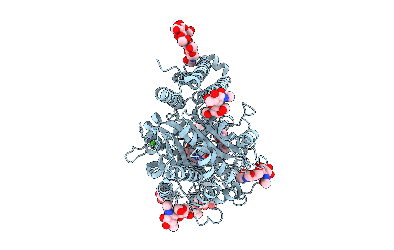 4NGS image
