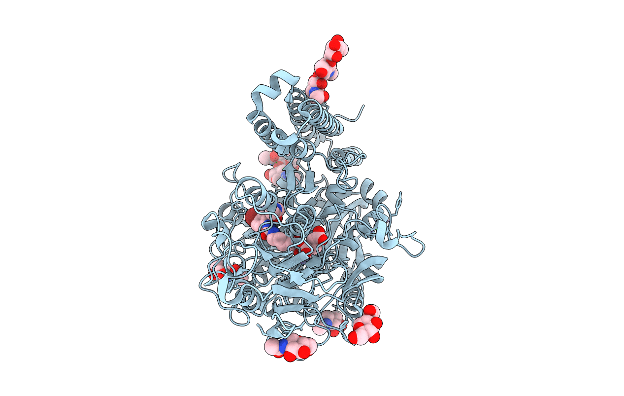 4NGT image