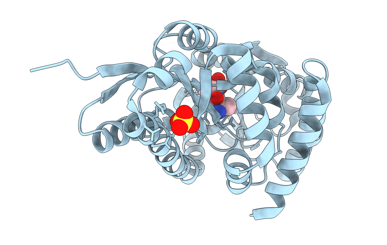 4NGU image