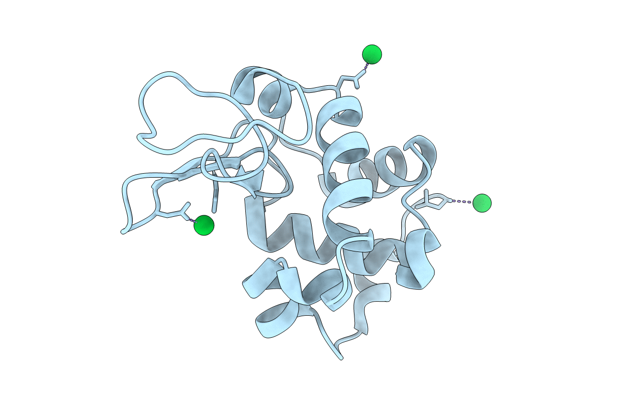 4NGW image