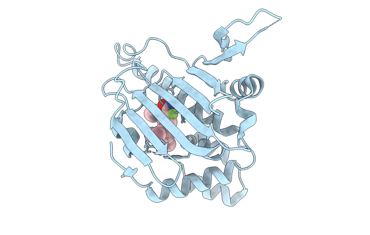 4NH9 image
