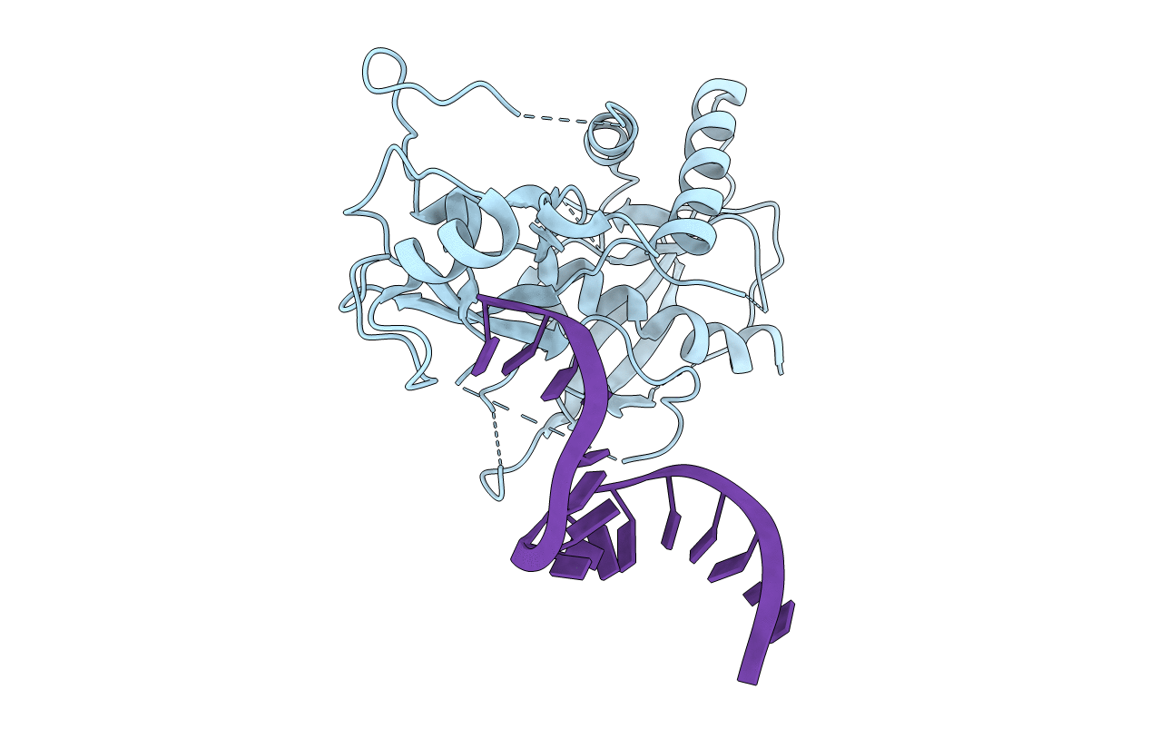 4NHA image