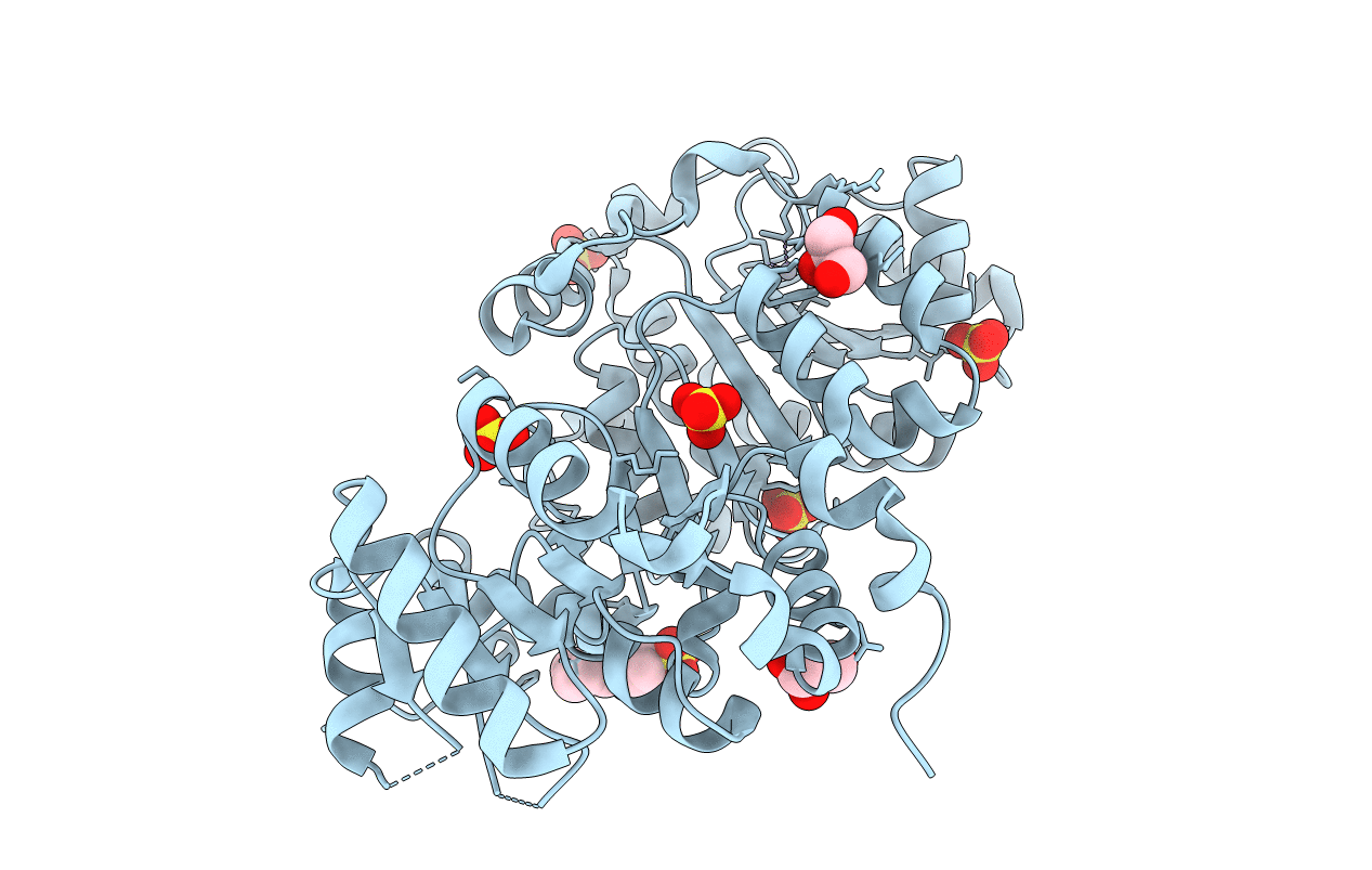 4NHO image