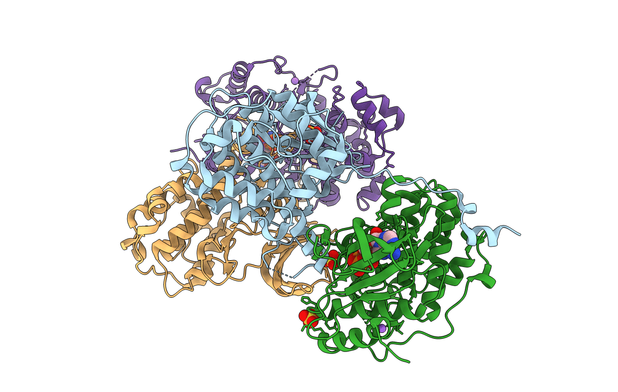 4NIF image