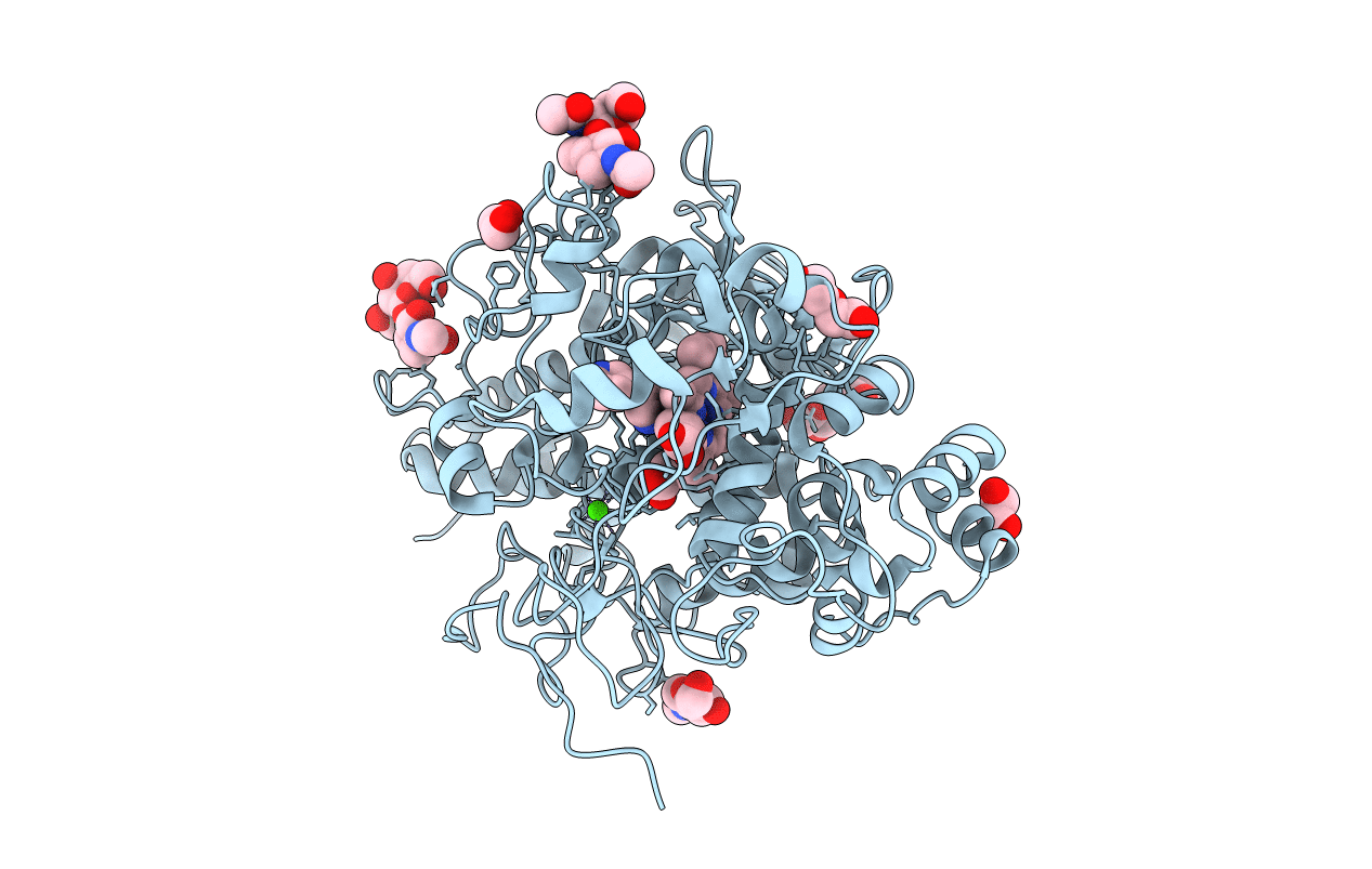 4NJB image