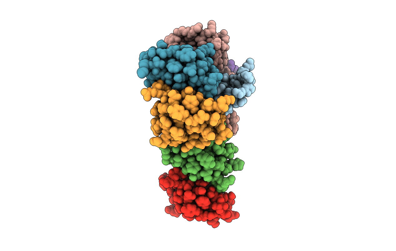 4NJC image