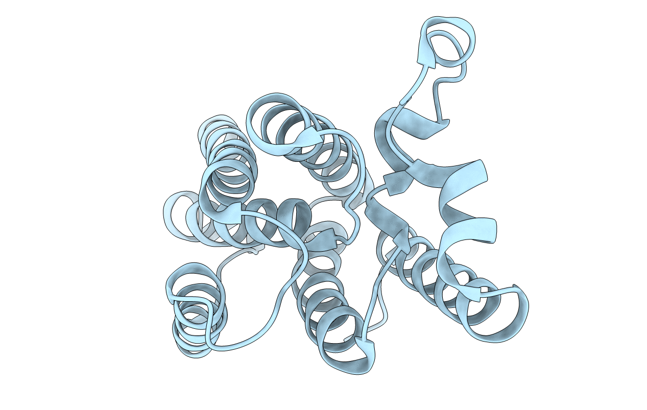 4NJN image