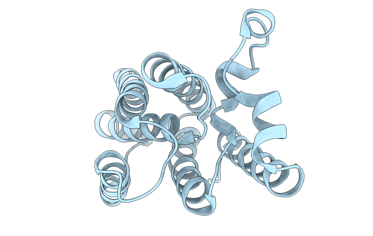 4NJP image