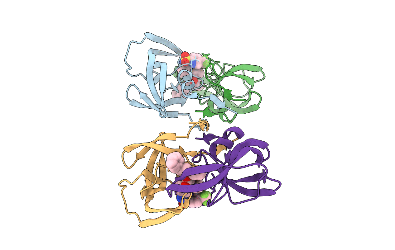 4NJU image