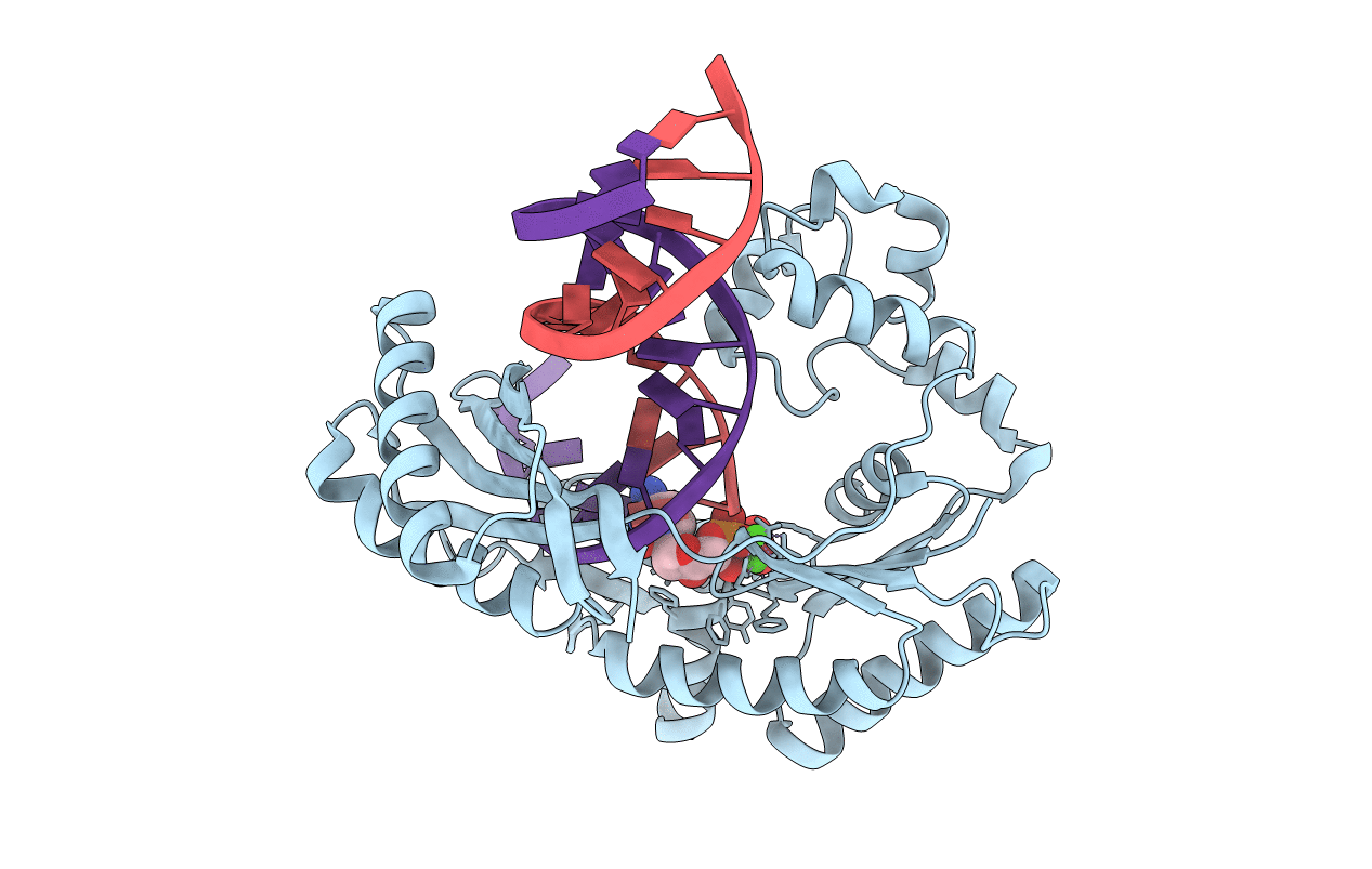 4NLG image