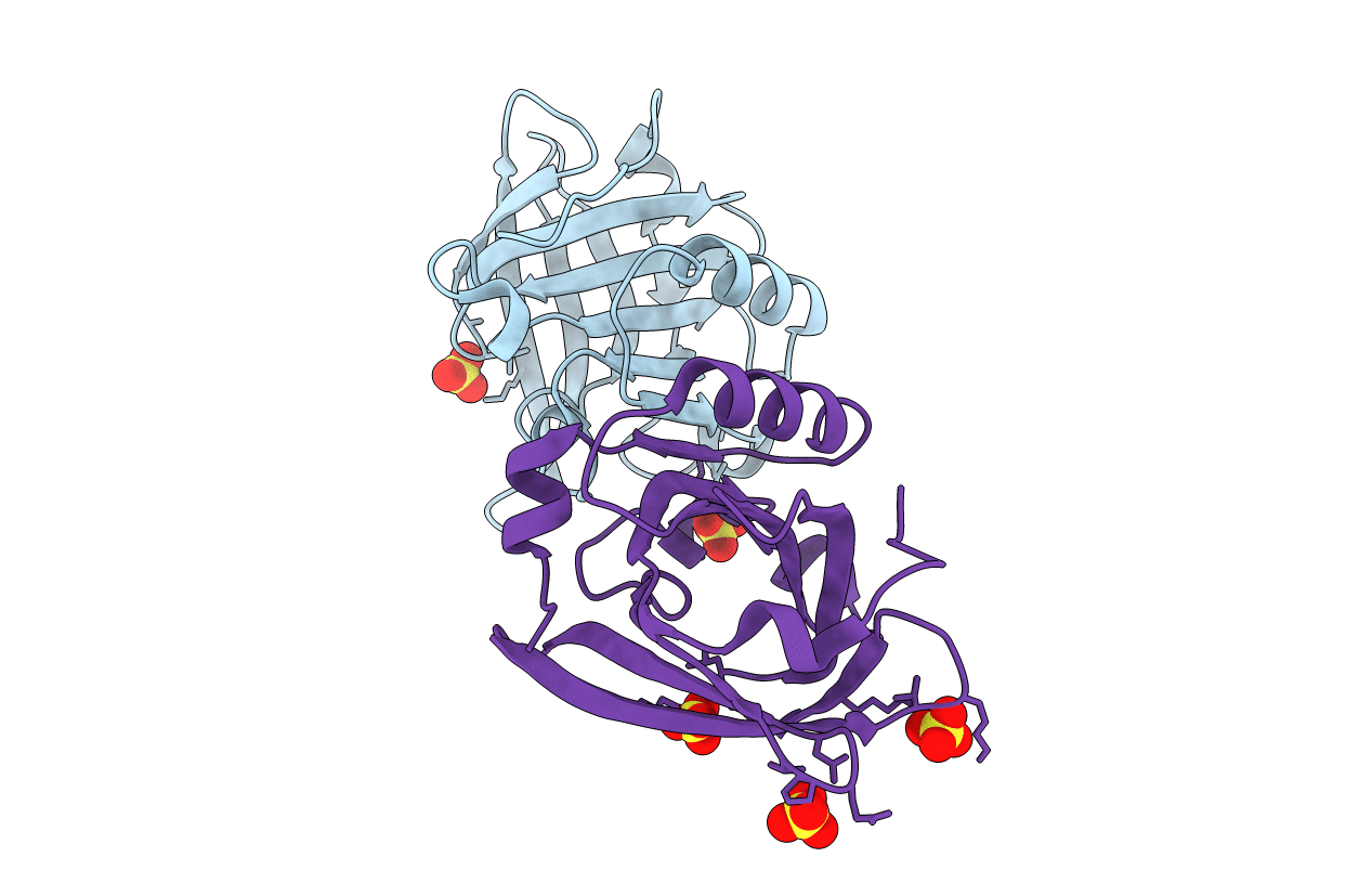 4NLJ image