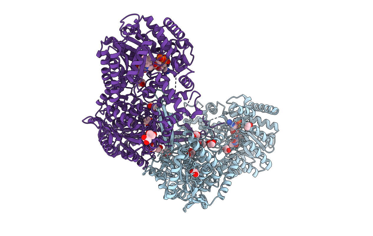 4NME image