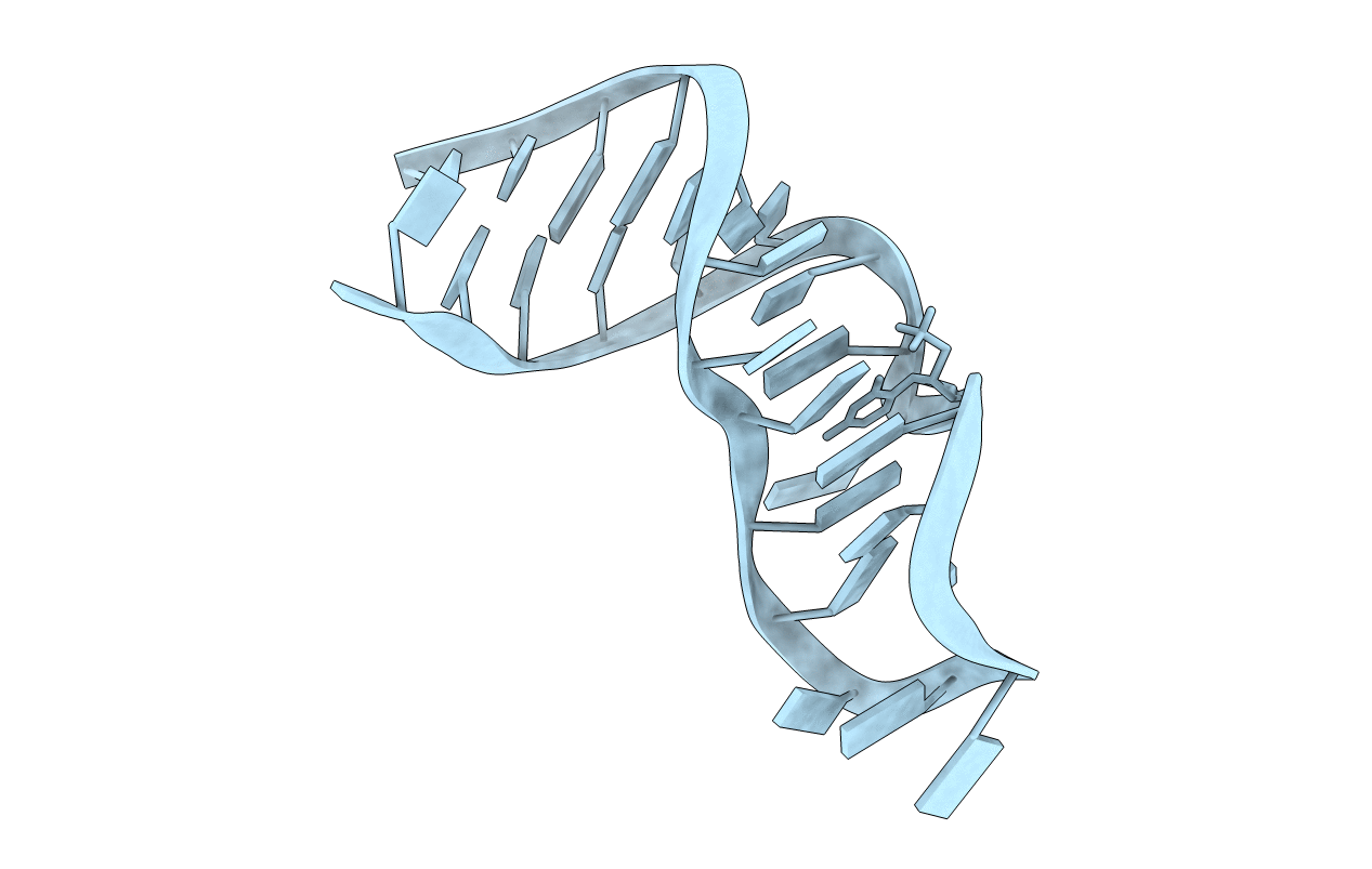 4NMG image