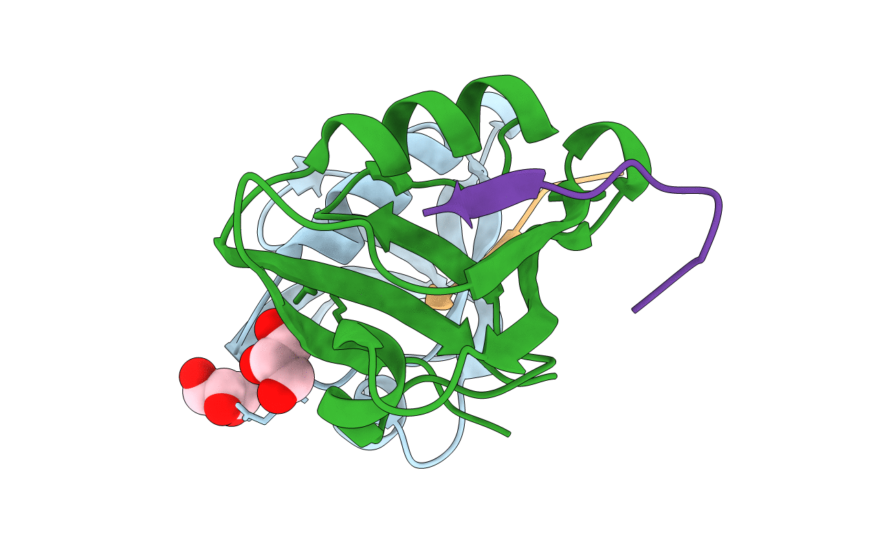 4NMO image