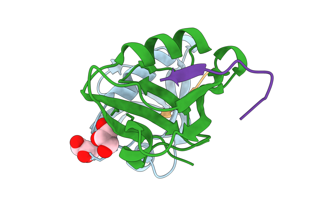 4NMV image