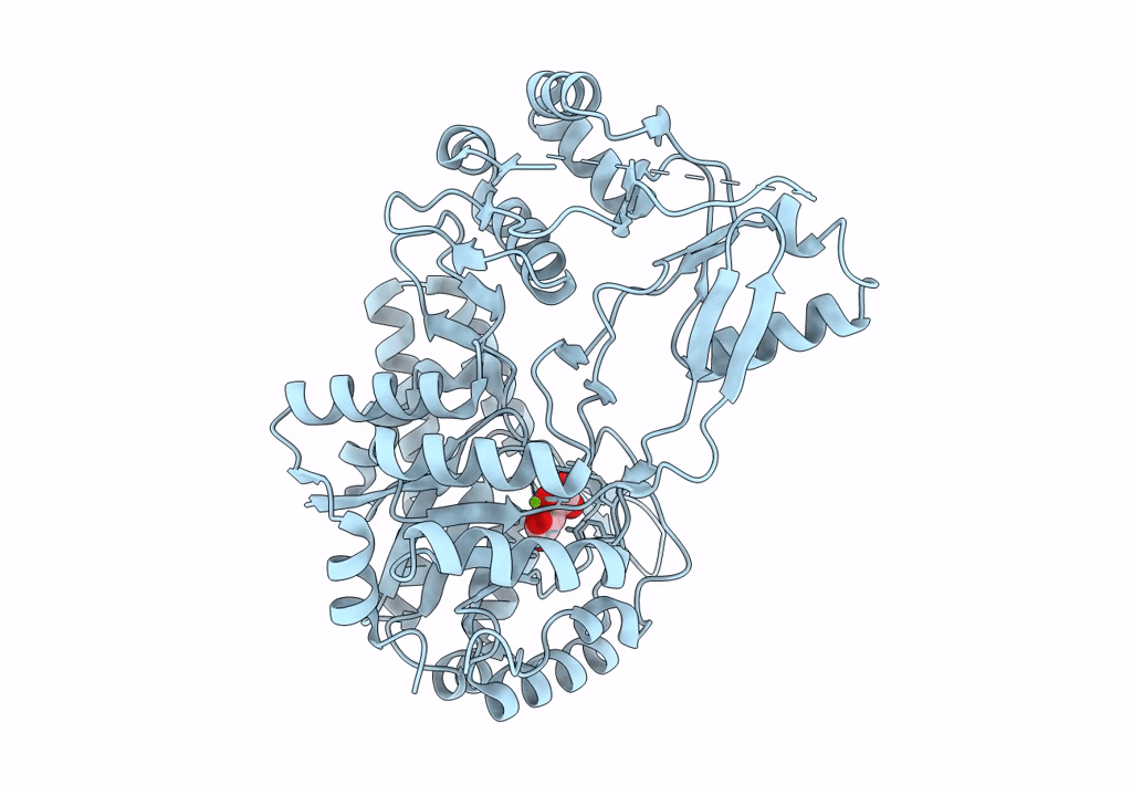 4NNB image