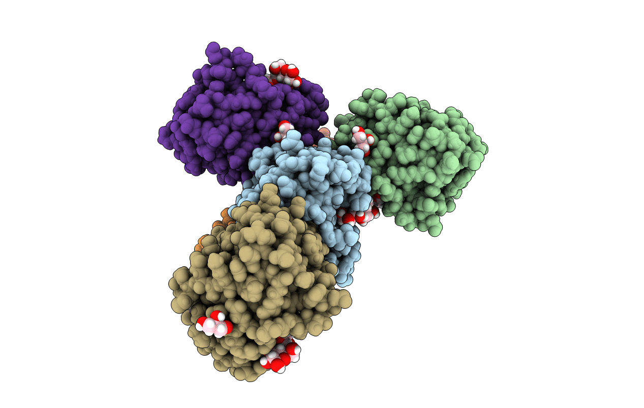 4NO4 image