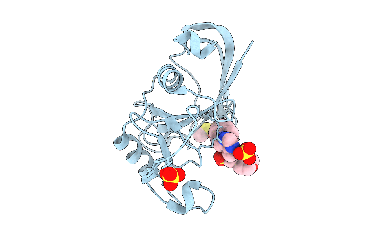 4NP2 image